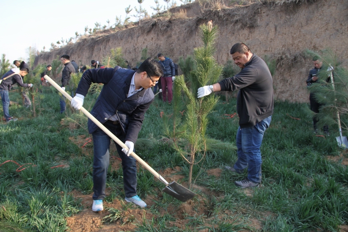 2017-3-8���F(tu��n)�x��(w��)ֲ��(sh��) 028.jpg